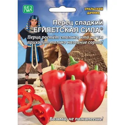 ЕГИПЕТСКАЯ СИЛА