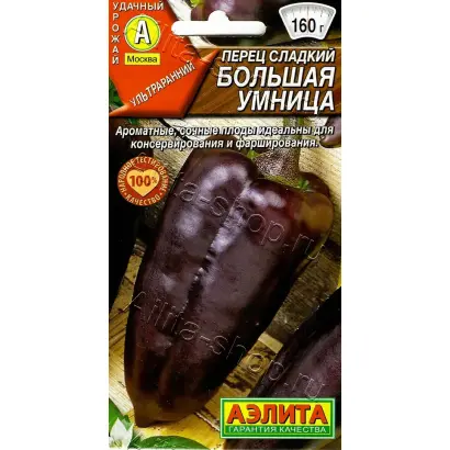 БОЛЬШАЯ УМНИЦА