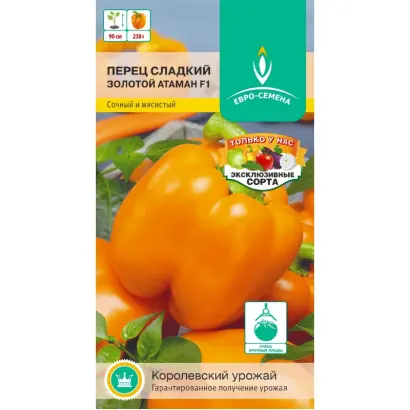 ЗОЛОТОЙ АТАМАН