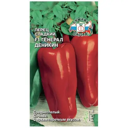 ГЕНЕРАЛ ДЕНИКИН