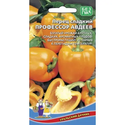 ПРОФЕССОР АВДЕЕВ