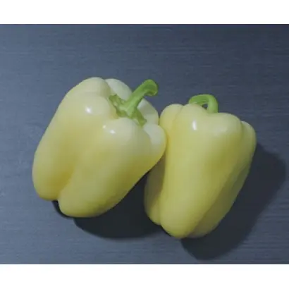 СИЛЬВЕР СТАР