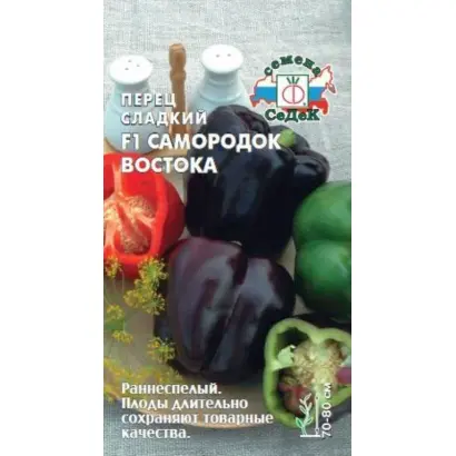 САМОРОДОК ВОСТОКА