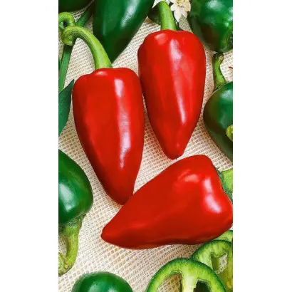 КРАСАВЕЦ ПРИОБЬЯ