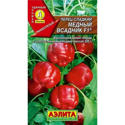 МЕДНЫЙ ВСАДНИК