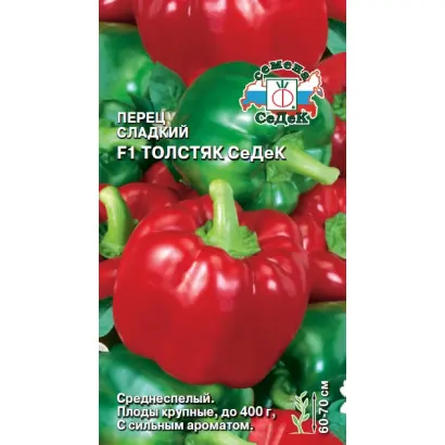 ТОЛСТЯК СЕДЕК