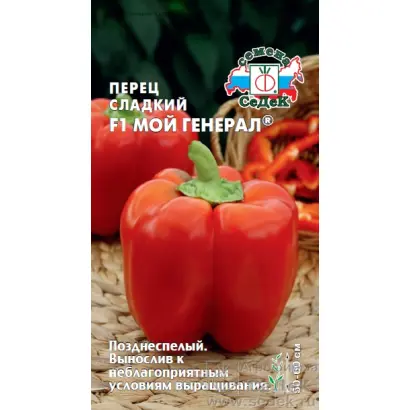 МОЙ ГЕНЕРАЛ