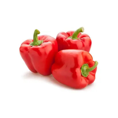 КРАСНЫЙ КУБ