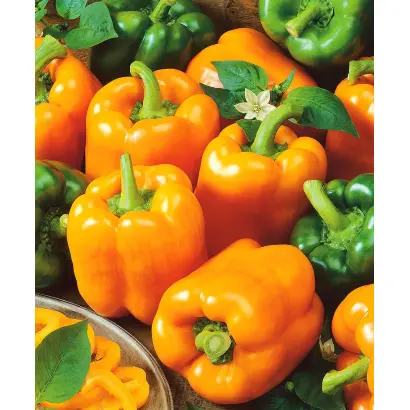 ОРАНЖЕВОЕ ЧУДО