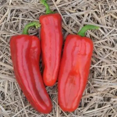 РУМЯНЫЕ ЩЕЧКИ