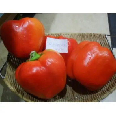 ЯБЛОЧНЫЙ СПАС