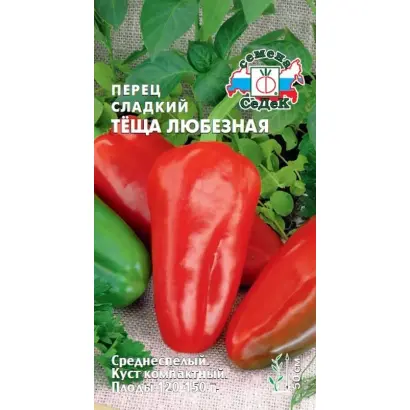 ТЕЩА ЛЮБЕЗНАЯ