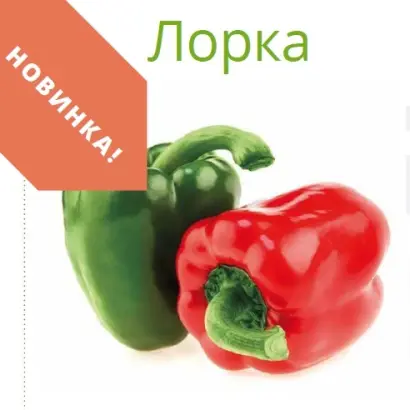 ЛОРКА