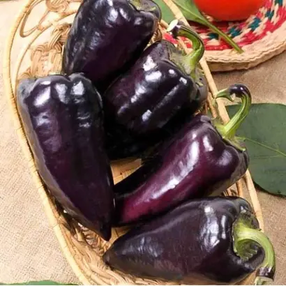 ЧЕРНЫЙ САХАР