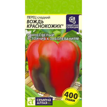 ВОЖДЬ КРАСНОКОЖИХ