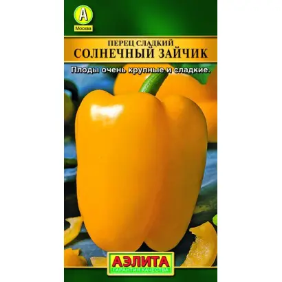 СОЛНЕЧНЫЙ ЗАЙЧИК