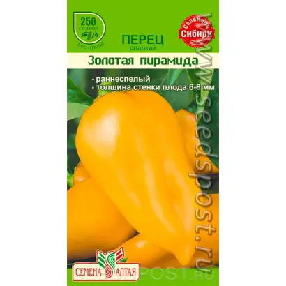 ЗОЛОТАЯ ПИРАМИДА