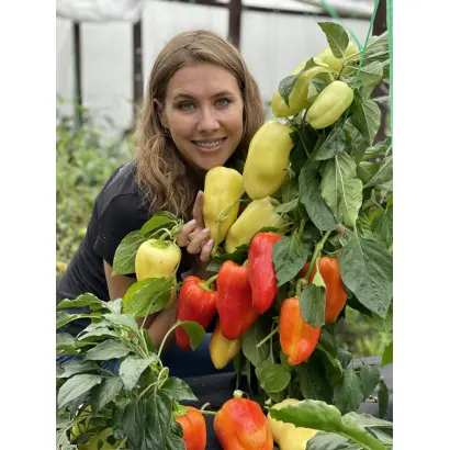 ЗЛАТА ПРАГА