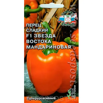 ЗВЕЗДА ВОСТОКА МАНДАРИНОВАЯ