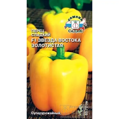 ЗВЕЗДА ВОСТОКА ЗОЛОТИСТАЯ