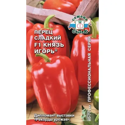 КНЯЗЬ ИГОРЬ