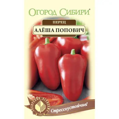 АЛЕША ПОПОВИЧ