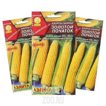 ЗОЛОТОЙ ПОЧАТОК 182 МВ