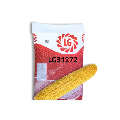 ЦСЦ 3203 Х ЛИР 2234