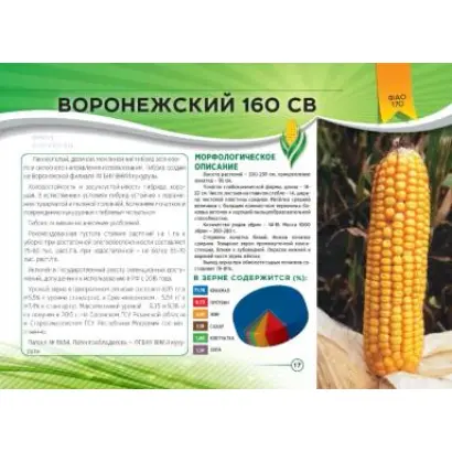 ВОРОНЕЖСКИЙ 162 СВ