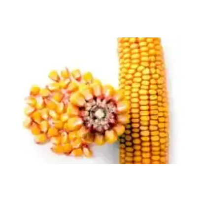 ДА 27-9 ВС, ЗМ