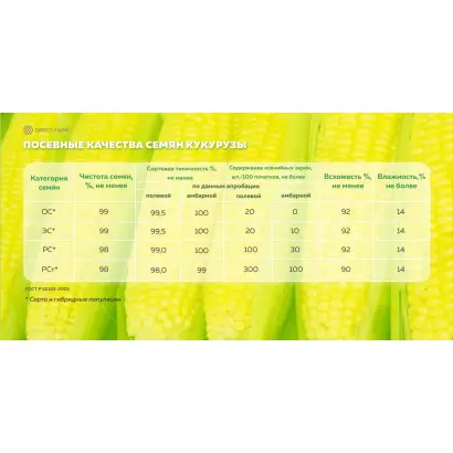 ГК 175 Х ГК 153