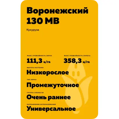 ВОРОНЕЖСКИЙ 130 МВ