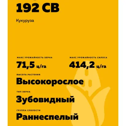 ВОРОНЕЖСКИЙ 192 СВ