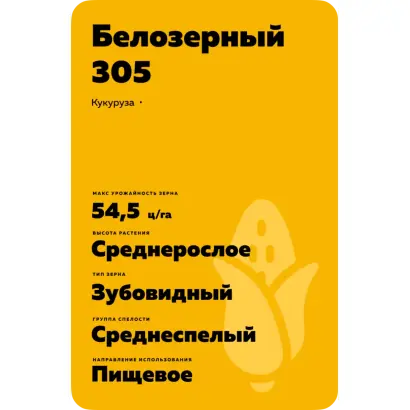 БЕЛОЗЕРНЫЙ 305