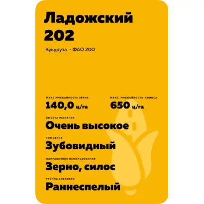 ЛАДОЖСКИЙ 202