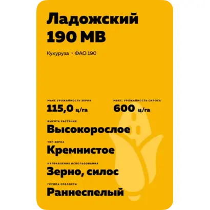 ЛАДОЖСКИЙ 190 МВ