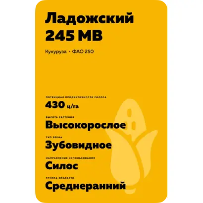 ЛАДОЖСКИЙ 245 МВ