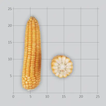 РВЛ 173 Х ЛИМЛАВ 88