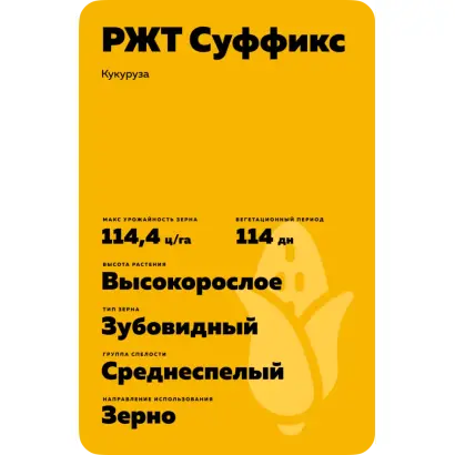 РЖТ СУФФИКС