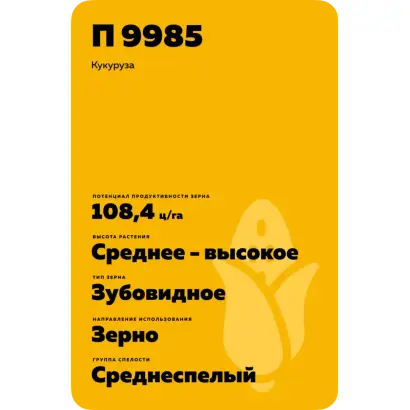 П 9985