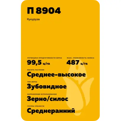 П 8904