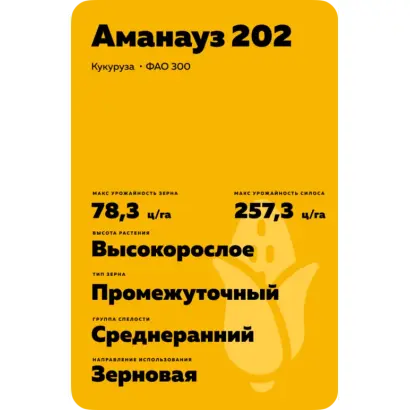АМАНАУЗ 202