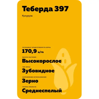 ТЕБЕРДА 397