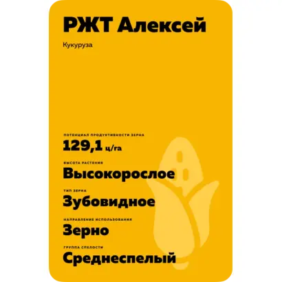 РЖТ АЛЕКСЕЙ