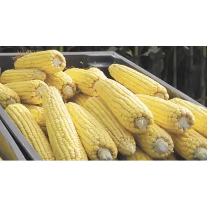 ЛИР 2232 Х ЛИР 2234