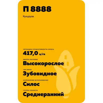 П 8888