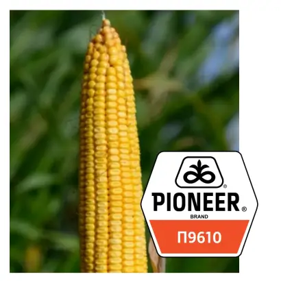 П 9610