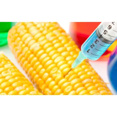 ЕГ 7097 Х ЕС 9504