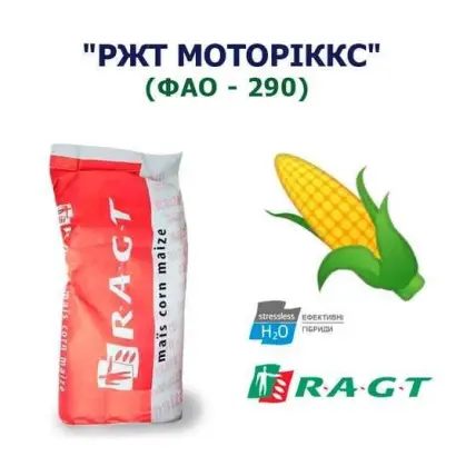 РЖТ КОЛЕКТИКС