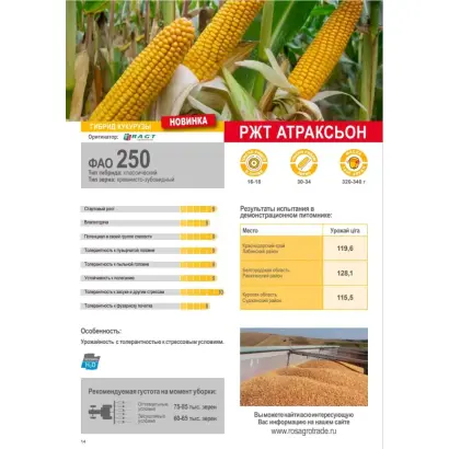 РЖТ АТТРАКСЬОН